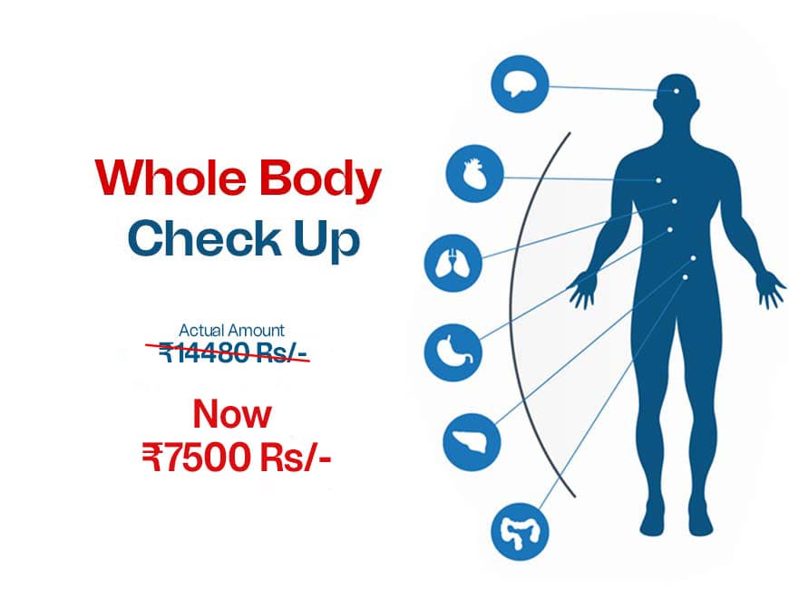 Whole Body Check Up