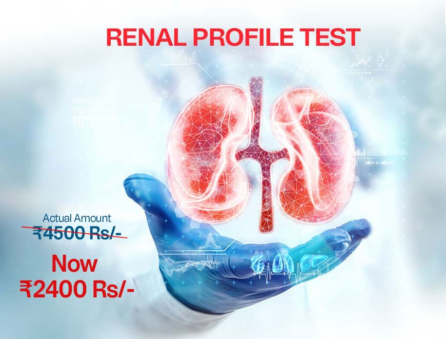 Renal Profile