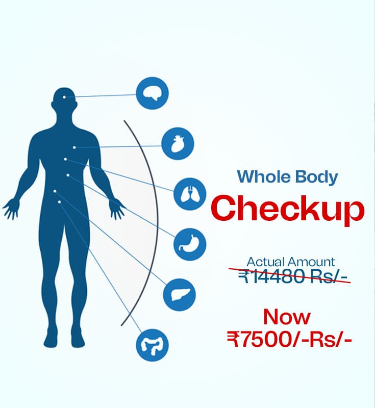 Whole Body Check Up